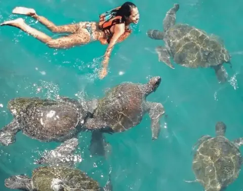 Ganztägige Strandtour, Zorritos, Punta Sal, Mancora und Ñuro
